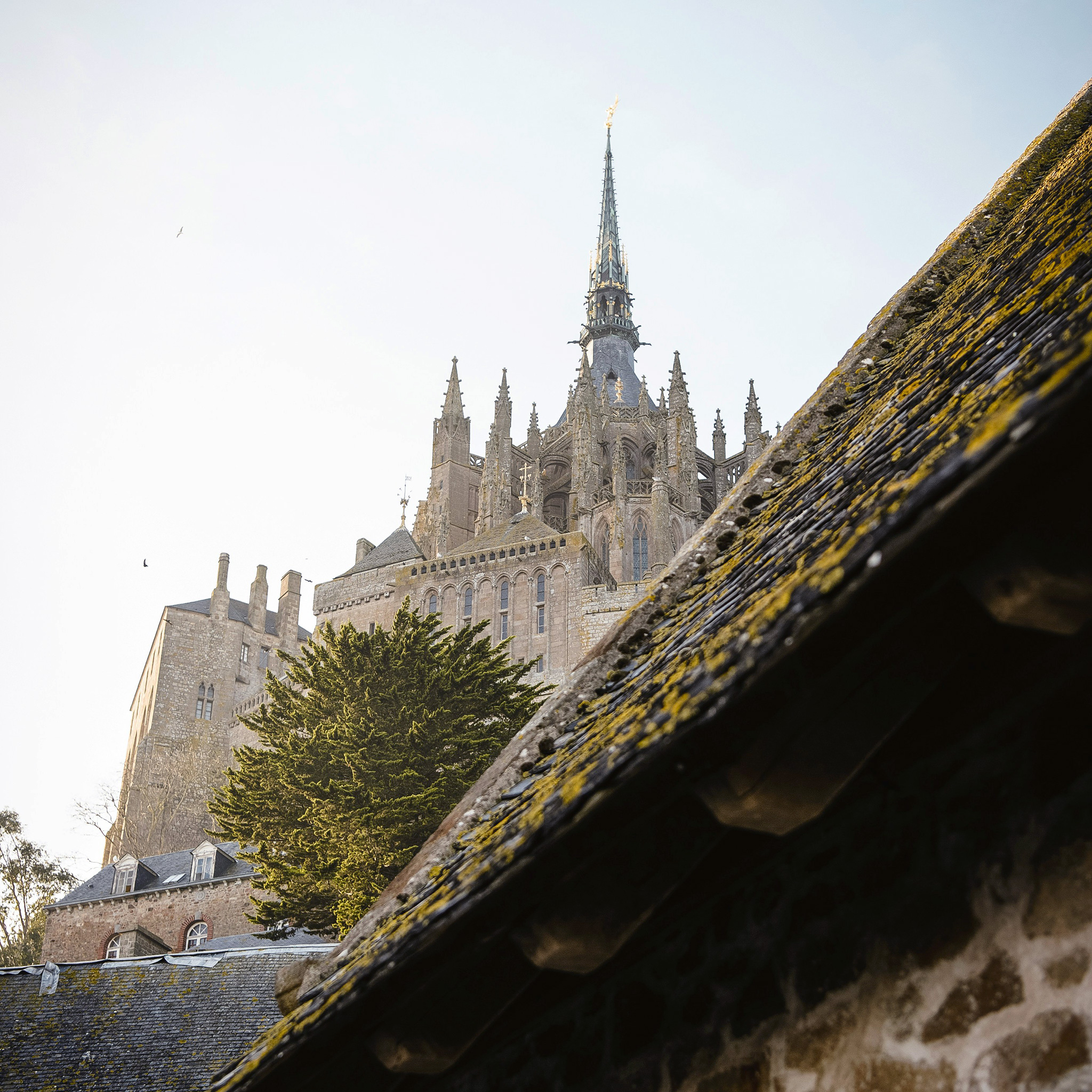 Abbaye Mont Saint-Michel