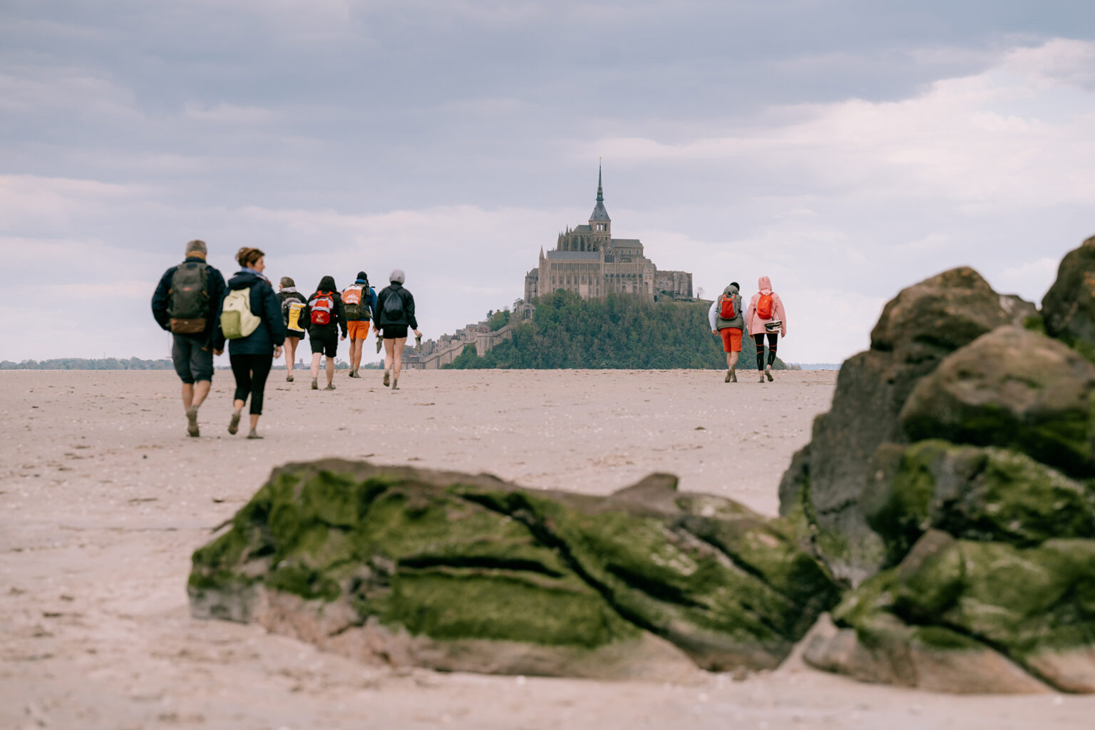 Sortie commentée au Mont Avril 2024