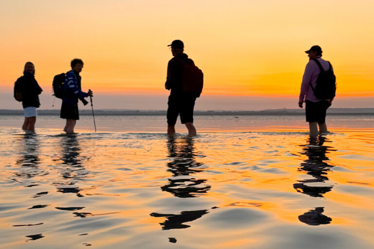 Baie du Mont Saint-Michel avec Sacha Traversées