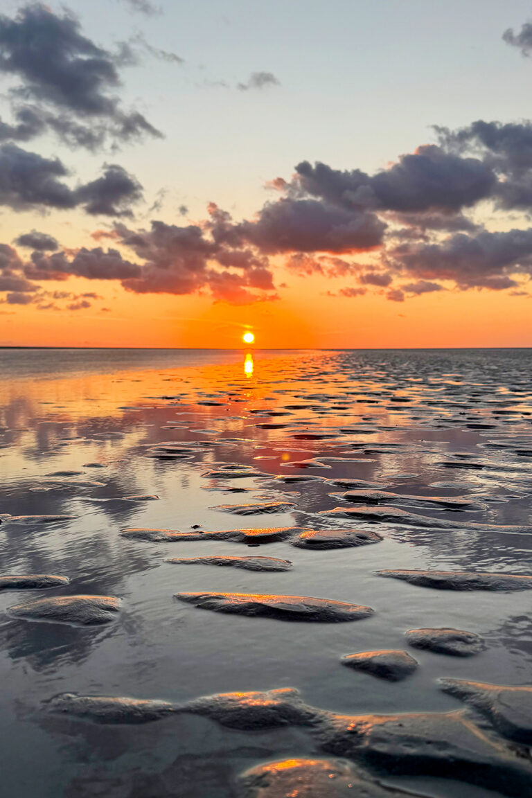 Balade Tombelaine au soleil couchant avec Sacha Traversées