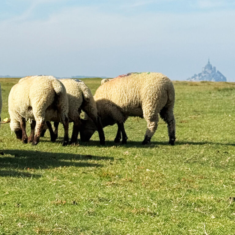 Sortie personnalisée avec Sacha Traversées