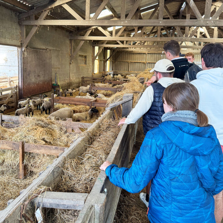 Sortie_personnalisee-Sacha-Traversees-8