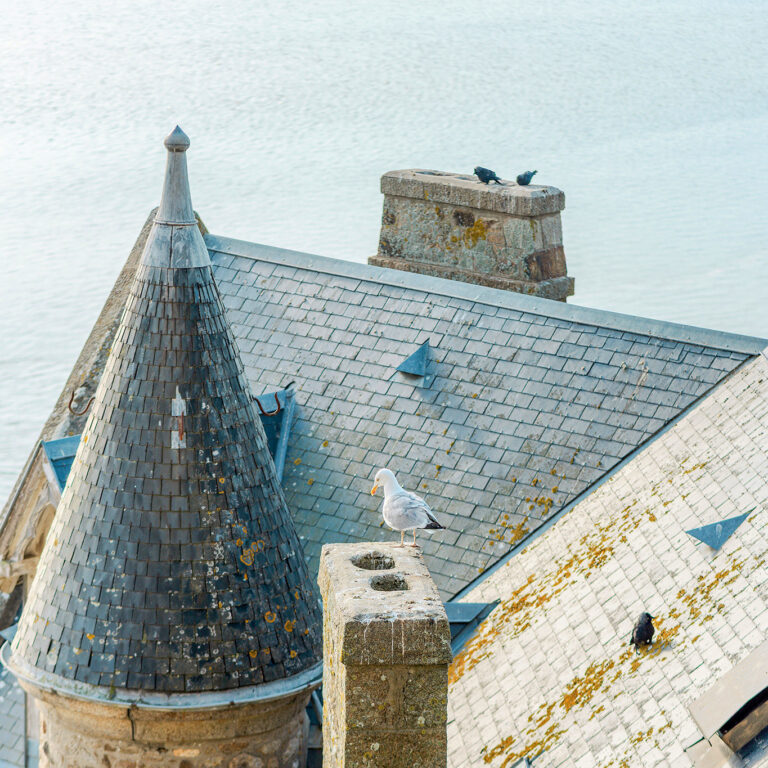 Sortie personnalisée avec Sacha Traversées