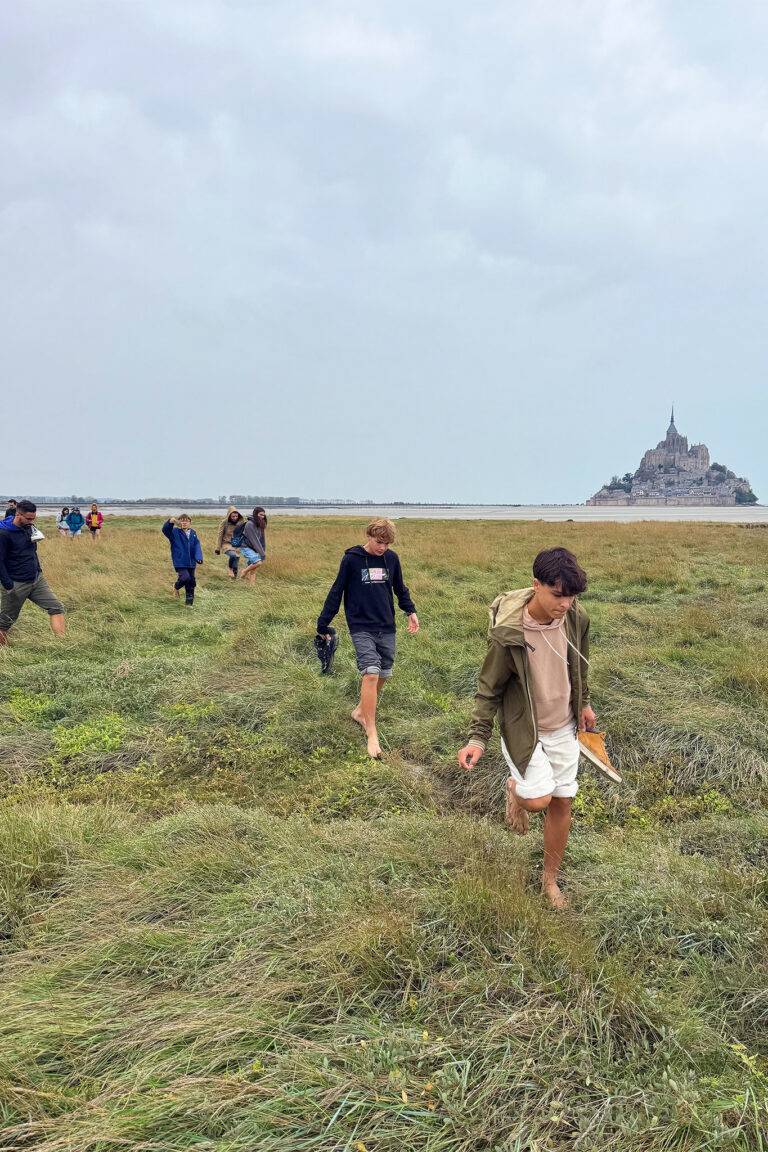 Transhumance des moutons dans la baie du Mont Saint-Michel avec Sacha Traversées